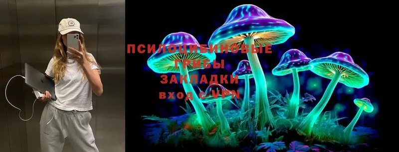 Псилоцибиновые грибы MAGIC MUSHROOMS  где можно купить   Зеленодольск 